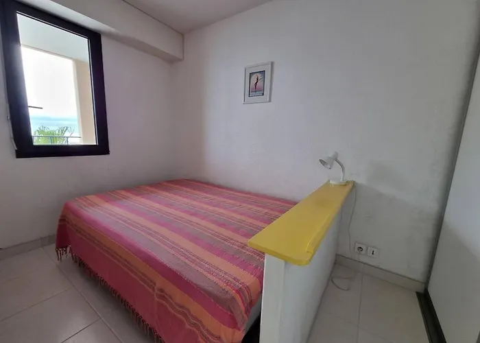 Διαμέρισμα Renove 2 Pieces + Cabine, Vue Mer, Parking - Fr-1-388-117